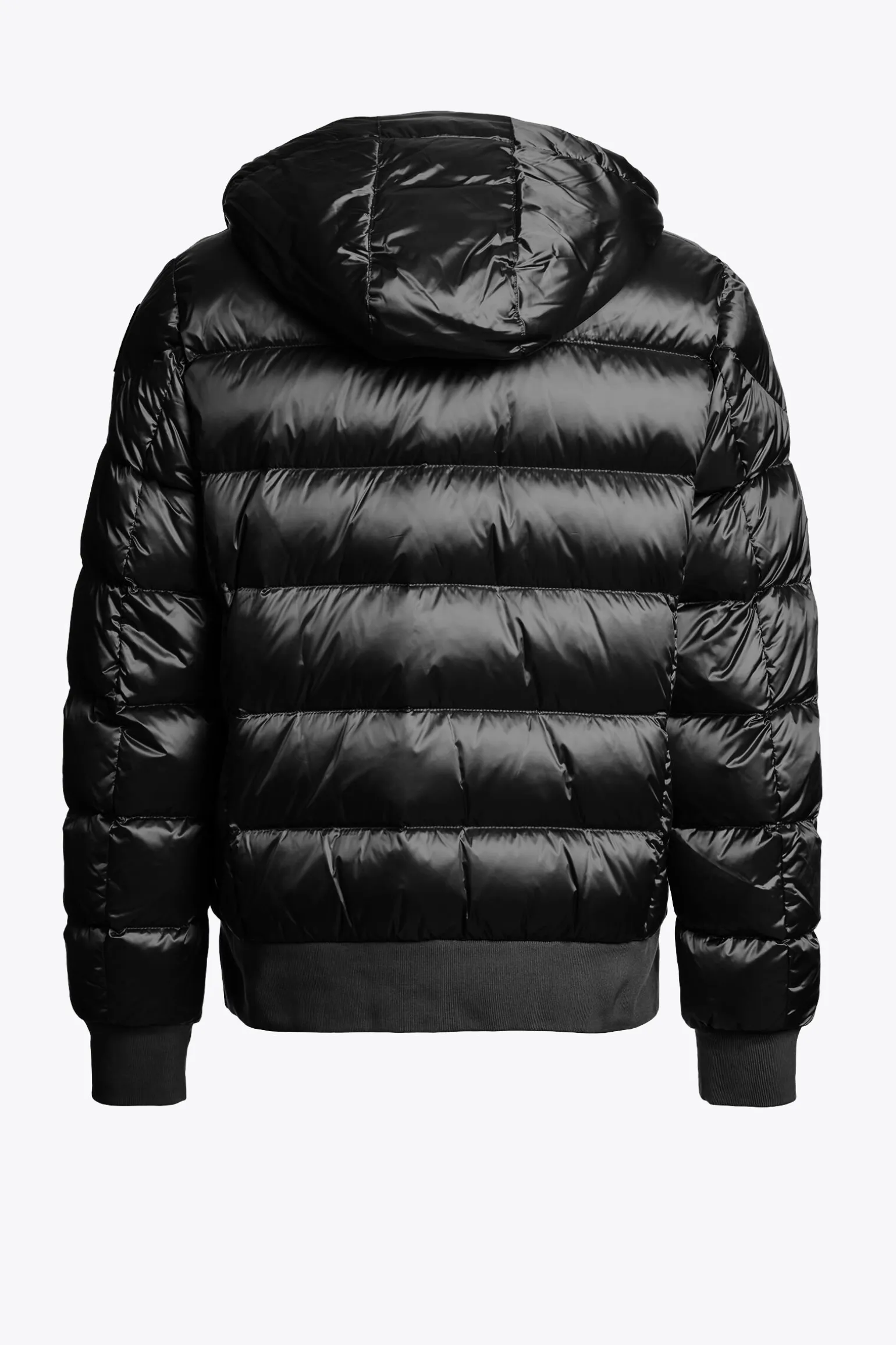 PHARRELL - BOMBER À CAPUCHE